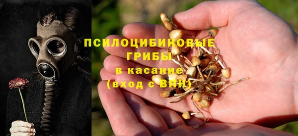 ALPHA PVP Баксан